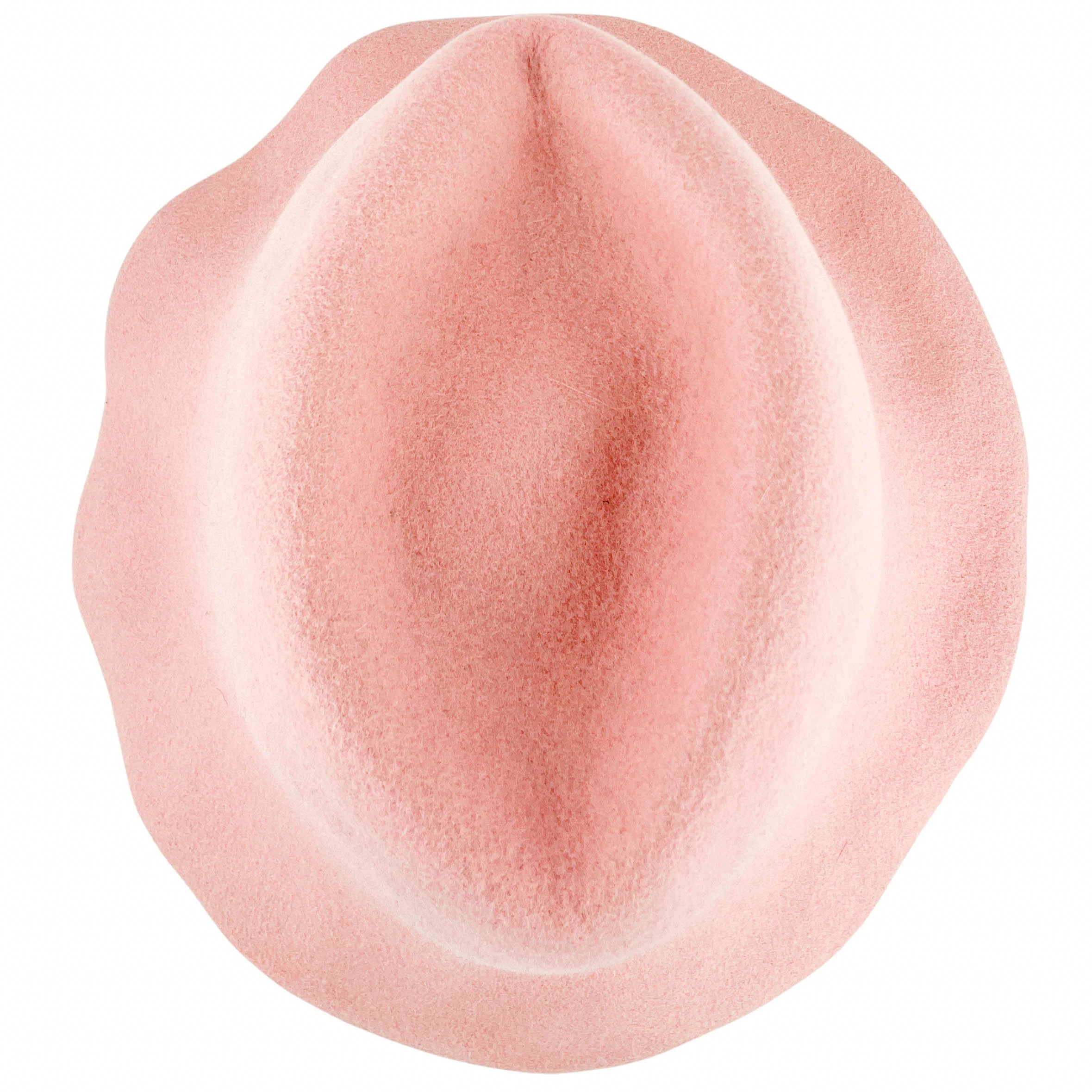 Reinhard Plank Hat in Light Pink - Image 4