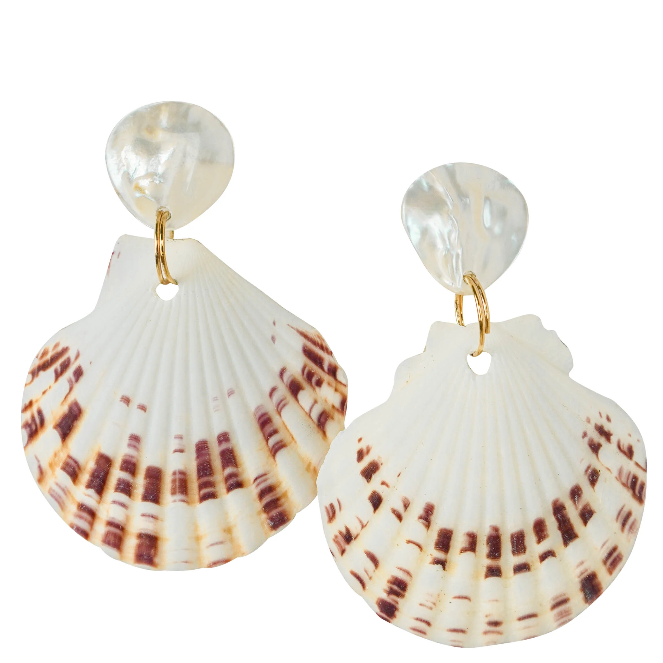 Shashi Shell Earrings in White/Rust